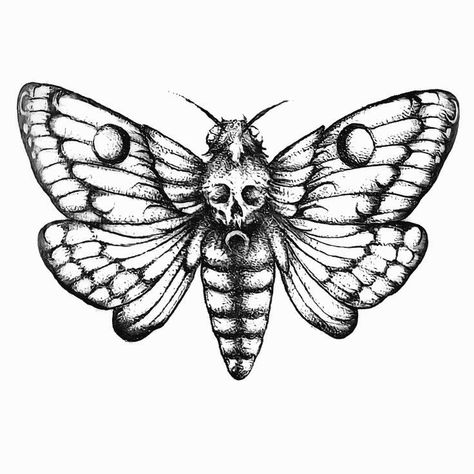 Moth Drawing, Moth Tattoo Design, Web Tattoo, Insect Tattoo, Bug Tattoo, Moth Tattoo, Spooky Tattoos, Gothic Tattoo, Knee Tattoo