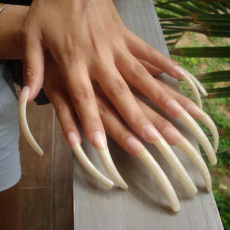 Clean Looking Acrylic Nails, Longest Nails, Very Long Nails, Natural Looking Nails, Long Natural Nails, Opal Nails, Natural Acrylic Nails, Long Fingernails, Ten Nails