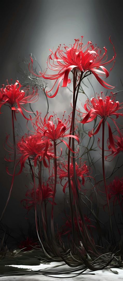 Mi Band 4 Wallpaper, Mi Band 4 Wallpaper Aesthetic, Wallpaper Aesthetic Anime, Spider Lily, 4 Wallpaper, Aesthetic Pfp, Art Street, Wallpaper Aesthetic, Red Flowers