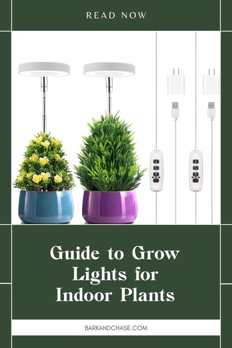 Wondering how to use grow lights for your indoor plants? Our complete guide covers everything you need to know, from selecting the ideal grow light to placement tips for optimal plant growth. Explore different types of grow lights, such as LED and fluorescent, and learn how to set them up properly for your leafy companions. With the right lighting, you can enjoy thriving plants all year round, even in low-light conditions. Join our growing community of plant lovers today! How To Use Grow Lights For Indoor Plants, Plant Light Ideas, Types Of Lights, Indoor Plant Lights, Plant Lights, Interior Design Games, Grow Lights For Plants, Led Tube Light, Grow Light