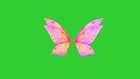 Wings Green Screen, Animated Wings, Video Free, Fairy Wings, Green Screen, Stock Video, Royalty Free, Free Download, Screen