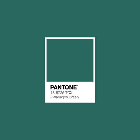 18-5725 TCX Galapagos Green 2023 Pantone, Green Pantone, Pantone Green, Pantone Swatches, Pantone Palette, Color Pantone, Pantone Colour Palettes, Spring Color Palette, Pantone Colors