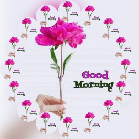 Good Morning GIF Animation Images And Videos | More Animation Images, Good Morning Gif Images, Good Morning Animated Images, Gd Morning, Good Morning My Friend, Flowers Quotes, Whatsapp Videos, Good Morning Flowers Quotes, Good Morning Roses