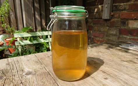 Fig Leaf Liqueur, Fig Liqueur, Gin Recipe, Glass Eggs, Spring Drink, Homemade Alcohol, Gin Liqueur, Kilner Jars, Gin Recipes