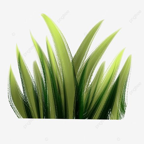 Rumput Png, Green Png, Stage Background, Pola Kartu, Grass Green, Iphone Icon, Anime Drawings Boy, Monogram Logo, Clipart Images