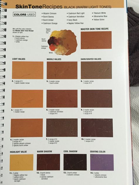 Ebony Skin, Skin Color Chart, Mixing Paint Colors, Paint Mixing, Color Mixing Chart, Drawing Tutorial Face, Digital Painting Techniques, Portraiture Painting, Black Tones