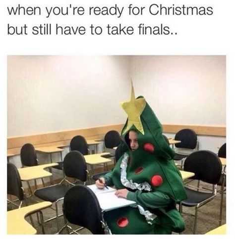 Ready for Christmas meme  #Christmasmemes Christmas Tumblr, Christmas Memes, Fresh Memes, Tumblr Posts, Reaction Pictures, Christmas Humor, Make Me Smile, Dumb And Dumber, Christmas Time