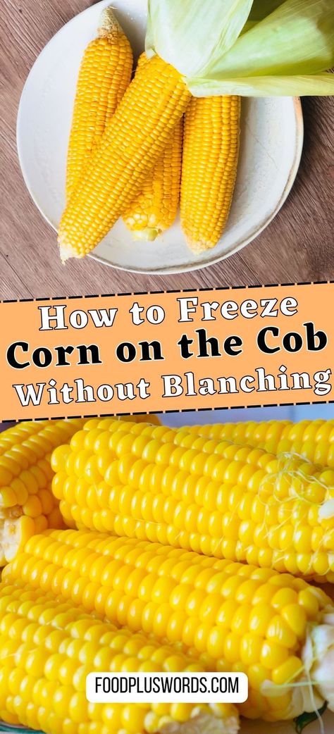 Freezing Corn Recipes, How To Freeze Corn, Freezing Fresh Corn, Freezing Vegetables, Canning Vegetables, Recipe For Freezing Corn On The Cob Blanching Corn, Frozen Sweet Corn Recipe, Freezing Corn On The Cob, Freezing Fresh Corn, Canning Corn, Freezing Corn, Sweet Corn Recipes, Preserving Vegetables, Freezing Vegetables