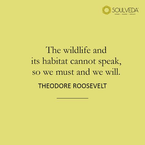 Just like us humans, wildlife is a part of nature too, and treating all animals with dignity, love and care should be an essential part of human nature. #soulveda #WorldWildlifeDay #wildlife #quotes #naturequotes Wildlife Quotes Animals, Zoology Quotes, Wild Animal Quotes, Animal Quotes Meaningful, Quotes About Animals, Animal Science Major, Wildlife Quotes, Conflict Quotes, Wildlife Biology