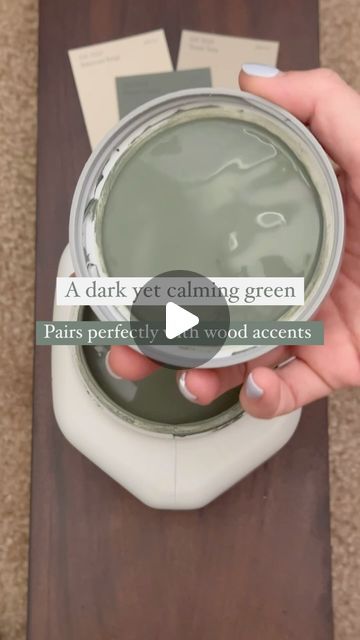 Meg Loren on Instagram: "This one!😍 The shade is perfect for cabinetry or even for the walls in a pantry, laundry or mudroom. This is at the top of my list for our pantry 🤌🏼

Save for later✨
Paint color: Pewter Green by Sherwin Williams

#greenpaint #pewtergreen #sherwinwilliams #diy #beforeandafter #moodygrams #neutraldecor #homedecor #diyhomedecor" Pantry Color Ideas Paint, Sw Pewter Green, Paint 2024, Pewter Green, Farmhouse Grey, Colorado House, Renovated Kitchen, Pantry Laundry, House Color Palettes