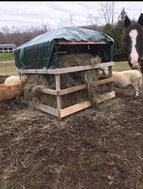 Diy Round Bale Hay Feeder For Horses, Large Bale Hay Feeder, Pallet Round Bale Feeder, Goat Round Bale Hay Feeder, Covered Round Bale Feeder Diy, Round Bale Hay Feeder Diy, Diy Horse Hay Feeder, Diy Round Bale Feeder, Horse Round Bale Feeder