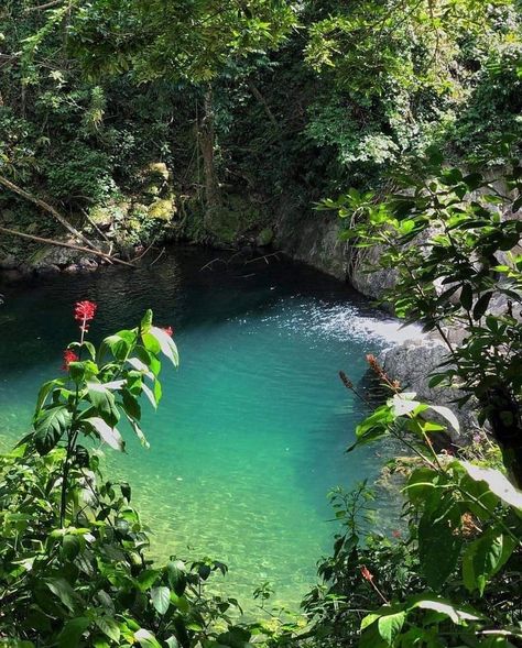 Infp Brain, Lake Aesthetic, Photography Reference, Hawaii Aesthetic, Texas Photography, Vacation Mood, Shotting Photo, Aloha Hawaii, Aesthetic Nature