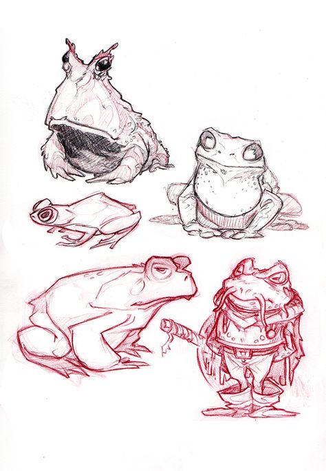 ohlatpz Anna Cattish, Some Drawings, Frog Drawing, Frog Art, Desenho Tattoo, Frog And Toad, Animal Sketches, Arte Fantasy, Art And Illustration