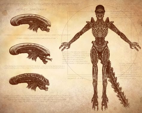 Xenomorph Anatomy, Xenomorph Types, Xenomorph Head, Journal Drawings, Eddie Brock, Skeleton Drawings, Arte Alien, Drawing Heads, Study Journal