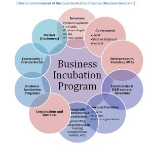 Generic Business Incubation Model – Part 3 | Entrepreneurship, Business Incubation, Business Models & Strategy Blog Startup Workspace, Startup Poster, Startup Infographic, Curriculum Template, Business Incubator, Startup Presentation, Startup Design, Startup Incubator, Startup Office