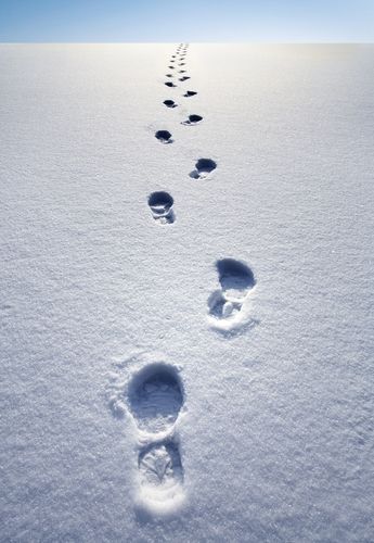 in the snow | Out turned footprints in the snow. Footsteps In Snow, Snow Illustration, Painting Snow, Airbrush Art, Winter Wallpaper, Winter Scenery, Snow And Ice, Snowy Day, Winter Wonder