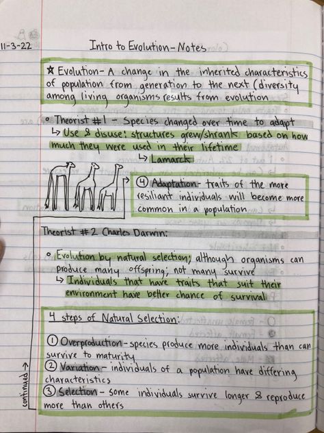 Zoology Project Ideas High School, Honors Biology Notes, Natural Selection Notes, Evolution Notes Biology, Anthropology Notes, Evolution Concept Map, 7th Grade Notes, Evolution Notes, Ecology Notes