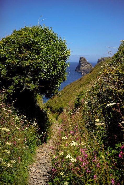 Tintagel Cornwall, Devon And Cornwall, Cornwall England, English Countryside, Coven, Pretty Places, Beautiful World, Cornwall, Beautiful Landscapes