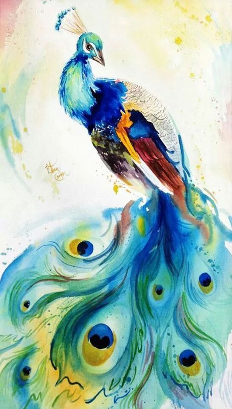 Colourful Animal Art, Watercolor Peacock, Acrylic Diy, Watercolor Birds, Number Sets, Start Painting, Peacock Painting, Peacock Art, Watercolor Paintings Easy