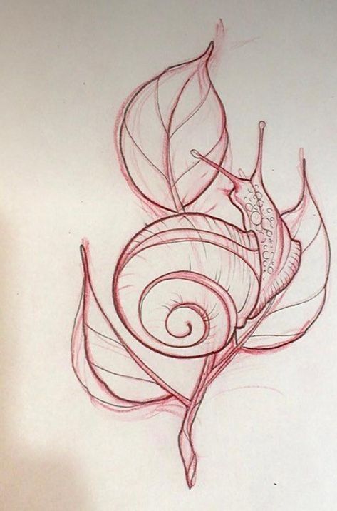 Snail Tattoo, Tier Tattoo, Kunst Tattoos, Muster Tattoos, Tattoo Portfolio, Desenho Tattoo, Tattoo Design Drawings, Tattoo Stencils, Body Mods