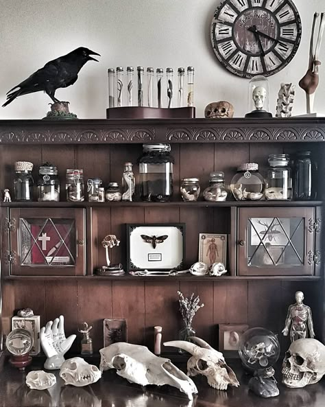 🦇Esther Hunter🦇 on Instagram: “An inevitable shot of my own curiosity cabinet. I need an extra one! 😳😁 #curiosities #oddities #strangeandunusual #anatomical #taxidermy…” Diy Cabinet Of Curiosities, Curiosity Cabinet Aesthetic, Cabinet Of Curiosities Aesthetic, Curiousity Cabinet, Oddities Shop Aesthetic, Oddity Taxidermy, Cabinet Of Oddities, Goth Taxidermy Decor, Victorian Cabinet Of Curiosities