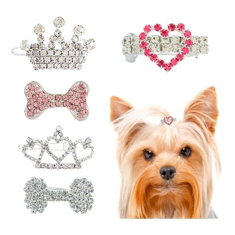 Amazon.com: DaFuEn Dog Hair Clips Hair Bows for Small Dogs Puppy Crown Barrettes Girl Dog Tiara Crystal Rhinestone Dog Hair Accessories for Chihuahua Yorkie Shih Tzu Pet Bows Grooming Products 5 Pack (set of 5) : Pet Supplies Pet Grooming Products, Very Small Dogs, Dog Tutu, Pet Sweaters, Rhinestone Collar, Dog Hair Bows, Rhinestone Hair Pin, Flower Band, Pet Bows