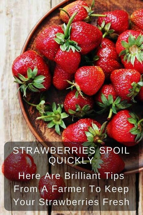 How To Store Strawberries, Fruit Hacks, Storing Fruit, Food Info, A Farmer, Food Facts, Strawberry Recipes, Betty Crocker, Fruit Recipes