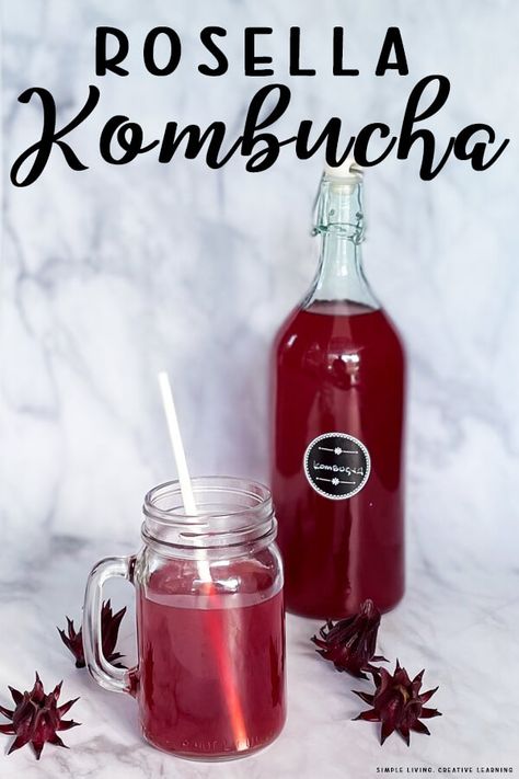 Rosella (Hibiscus) Kombucha is a delicious drink that produces a lovely deep crimson colour and an interesting, yet distinct tart flavour. Rosella Recipes, Roselle Recipes, Rosella Hibiscus, Hibiscus Kombucha, Hibiscus Recipe, Cranberry Hibiscus, Roselle Hibiscus, Zone 9b, How To Brew Kombucha