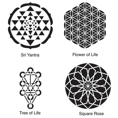 Sacred Geometry Sacred Geometry Alchemy, Geometric Trees, Sacred Geometry Patterns, Yoga Studio Design, Sacred Geometry Symbols, Geometry Tattoo, Sacred Geometric, Sacred Geometry Art, Tree Of Life Tattoo