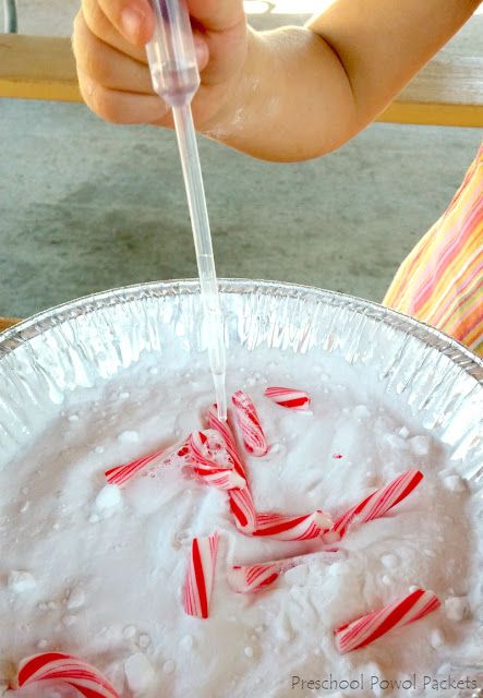 Christmas Science Experiment: Fizzing Candy Cane Eruptions! | Preschool Powol Packets Candy Cane Experiment, Candy Cane Science, Candy Cane Story, Candy Cane Game, Candy Cane Dessert, Candy Cane Legend, Candy Cane Background, Christmas Science Experiments, Candy Cane Coloring Page