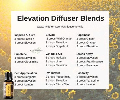 Doterra Elevation, Doterra Diffuser, Doterra Diffuser Blends, Essential Oil Diffuser Blends Recipes, Essential Oil Blends Recipes, Wild Orange, Essential Oil Diffuser Blends, Oil Diffuser Blends, Doterra Oils