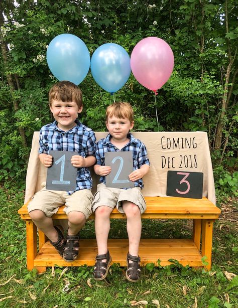 Third Baby Announcement With Siblings, Gender Reveal Sibling Photo, Pregnancy Announcement With Sibling 3rd, Gender Reveal Photography Sibling, 3rd Pregnancy Announcement With Siblings, 2nd Child Pregnancy Announcement, Twin Announcement, 3rd Pregnancy Announcement, Baby Gender Announcements