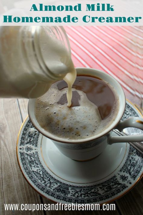 DIY Almond Milk Coffee Creamer Homemade Coffee Creamer With Almond Milk, Almond Milk Coffee Creamer, Homemade Creamer, French Vanilla Coffee Creamer, Diy Almond Milk, Homemade Coffee Creamer Recipe, Diy Coffee Creamer, Almond Milk Coffee, French Vanilla Creamer