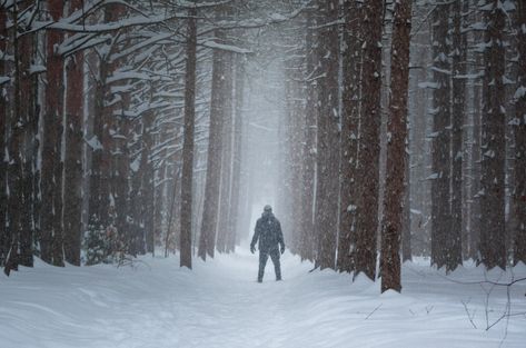 Freaks In The Woods: 17 True Stories Of Scary Encounters Deep In The Forest | Thought Catalog Spooky Collage, True Creepy Stories, Scary Woods, Creepy Woods, Haunted Woods, Scary Tales, Paranormal Stories, Night Forest, Snowy Forest