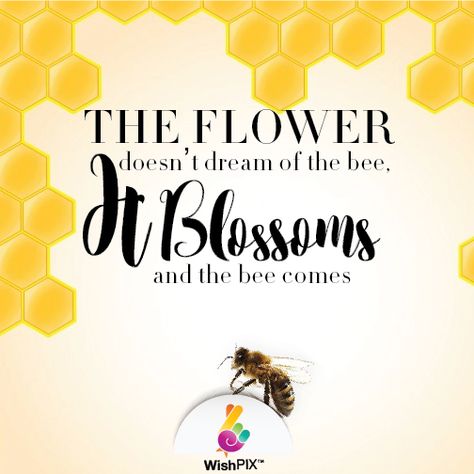 Some of our biggest dreams grow from our smallest wishes. It is our wish that you enjoy sharing this quote  "The flower doesn't dream of the bee, It blossoms and the bee comes" #inspirationalquotes#wisdomquotes#inspirational#quotestoremember#wishpixwishingapp O Words, The Bee, Dream Big, Blossom, Encouragement, Bee, Novelty Sign, Quotes, Wall