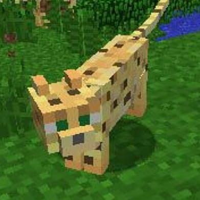 Minecraft Ocelot, Minecraft Tshirt, Minecraft Ideas, Savannah, Savannah Chat, Minecraft, Collage, Pins