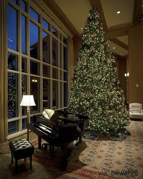 Black Grand Piano, Piano Area, Grand Piano Living Room, Grand Piano Room, Piano Living Rooms, Christmas Piano, Piano Decor, Baby Grand Pianos, Classy Christmas