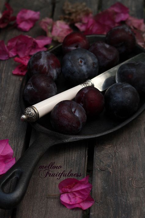 Black plums ready to campfire roast into a plum & carob crisp or crumble. Campfire and stove-top cooked too. What Katie Ate, Design Cibo, Moody Food Photography, Dark Food Photography, Beautiful Food Photography, Black Food, Food Photography Inspiration, Fruit Photography, Food Photography Styling