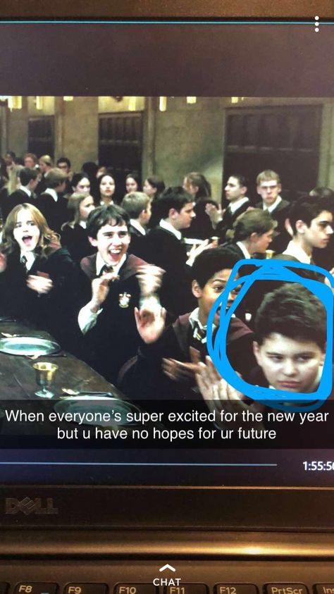 Harry Potter Funny Memes Jokes Hogwarts, Harry Potter Memes Funny Hilarious Laughing, Harry Potter Memes Clean, Hagrid Memes Funny, Harry Potter Memes Hilarious, Harry Potter Memes Umbridge, Yer A Wizard Harry, Harry Potter Quotes, Harry Potter Jokes