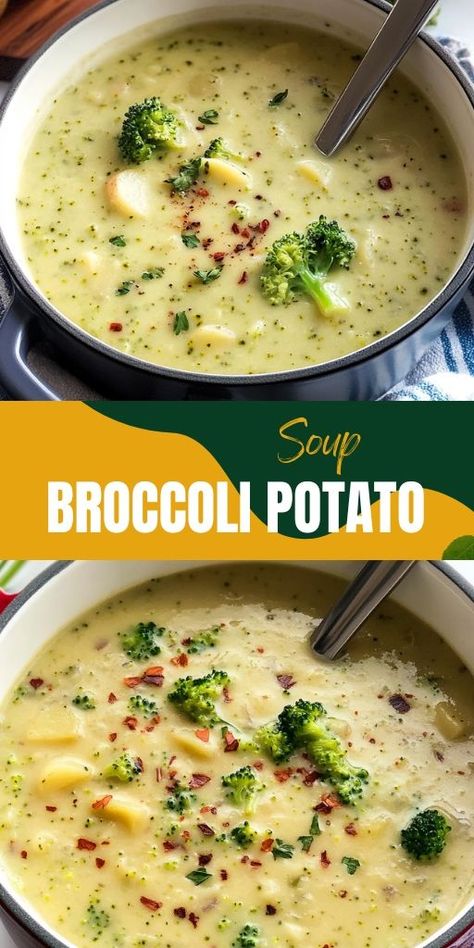 🥦🥔 Broccoli Potato Soup: Creamy, Cozy & Deliciously Healthy! 🧄✨   Looking for a comforting, nutrient-packed soup? This Broccoli Potato Soup is thick, creamy, and filled with hearty potatoes and fresh broccoli. 🌟 Perfect for a cozy lunch or dinner, it’s an easy-to-make, one-pot recipe that’s both satisfying and healthy!  👉 Save this Pin and warm up with a bowl of goodness today! 💚   #BroccoliPotatoSoup #ComfortFood #HealthySoups #VegetarianRecipes #EasyDinners Brocolli Potato Soup, Potato Soup Creamy, Broccoli Potato Soup Recipes, Broccoli Potato Cheese Soup, Broccoli Soup Healthy, Broccoli Potato Soup, Homemade Potato Soup, Broccoli Potato, Creamy Broccoli Soup