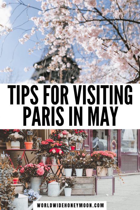 Top 10 Tips For Visiting Paris in May: Top Things to do in Paris in May, What to Wear, & More! - World Wide Honeymoon Paris Weather, Paris In May, Paris Trip Planning, Spring Paris, Paris Things To Do, Paris In Spring, Paris Honeymoon, Outfits Paris, Spring In Paris