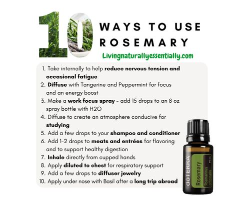 Focus Diffuser Blend, Benefits Of Rosemary Oil, Dottera Oils, Immunity Essential Oils, Doterra Rosemary, Benefits Of Rosemary, Doterra On Guard, Herbal Witch, Doterra Essential Oils Recipes