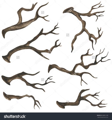 Watercolor Dry Tree Branches, Twigs Set Closeup Isolated On White ... Dried Tree Branches, Tree Branch Tattoo, Branch Drawing, Shadow Tattoo, Tattoo Tree, Tree Drawings Pencil, Dry Tree, Branch Tattoo, Trendy Tree