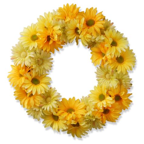 National Tree Company 19" Garden Accents Artificial Yellow Cosmos Floral Wreath Yellow Cosmos, Yellow Wreath, Artificial Christmas Wreaths, Material Wreaths, Tulip Wreath, Hydrangea Wreath, Spring Wreaths, Hanging Wreath, Garden Accents