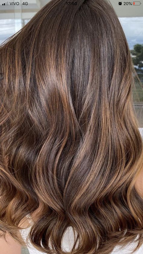 Medium Length Medium Brown Hair, Honey Brown Babylights, Warm Walnut Balayage, Natural Lowlights For Brown Hair, Light Brown Hair Golden, Latte Brunette Highlights, Honey Babylights On Brown Hair, Light Brown Hair With Brown Highlights, Brown Sugar Brunette Balayage