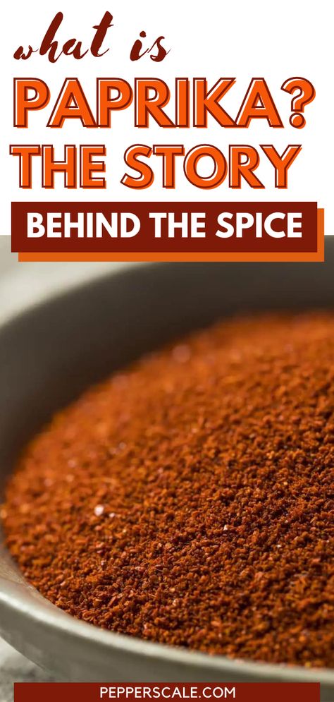 No kitchen is complete without paprika. It’s a spice rack staple – the fourth most popular spice in the world. It’s found right next to salt and pepper in many a cabinet. But what is paprika really? There’s so much more to paprika than meets the eye, from its history to its many varieties. How To Make Paprika, How To Dry Hot Peppers In The Oven, Paprika Powder Recipe, Smoked Paprika Recipes, Paprika Seasoning, Datil Pepper, Paprika Recipes, Paprika Spice, Paprika Pepper