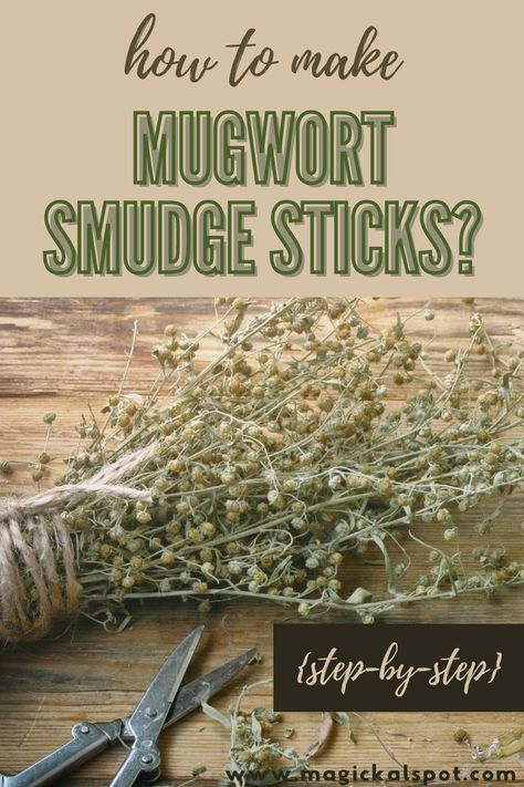 In this article, we'll learn How to Make a Mugwort Smudge Stick by following our step-by-step guide! Let's begin! Making Smudge Sticks, Mugwort Smudge Sticks, Herb Oil Recipe, Mugwort Smudge, Smudge Sticks Diy, Druid Witch, Cleansing Spells, Herb Bundles, Artemisia Vulgaris