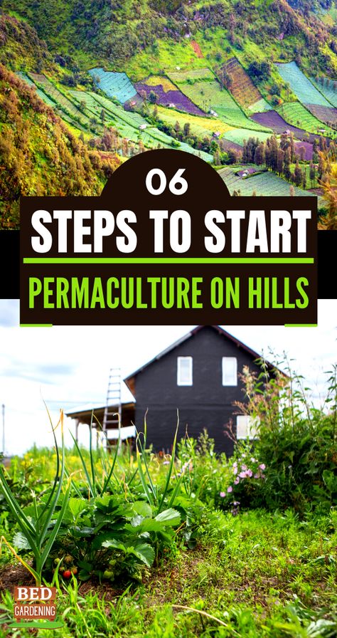 Terraced Permaculture Garden, Homestead On A Hill, Farm On A Hill, Hillside Permaculture, Sloped Landscaping, Hillside Farming, Forest Food, Hillside Gardening, Hillside Farms