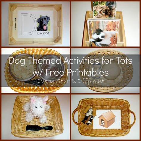 Montessori-inspired dog themed learning activities with free printables for tots and preschoolers. Montessori Pet Activities, Dog Theme Preschool, Pet Theme Activities, Cats And Dogs Preschool Theme, Pre K Pet Theme Activities, Pet Theme Math Activities Preschool, Pet Theme Math Activities, Mammals Activities, Pets Preschool Theme