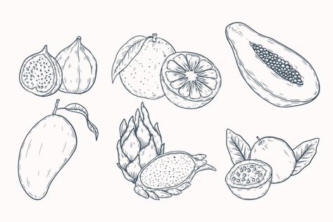 Tropical Fruit Tattoo, Passion Fruit Drawing, Papaya Tree Illustration, Passion Fruit Flower Illustration, Papaya Botanical Illustration, Fruit Tattoo, Fruits Drawing, Different Fruits, Vector Hand